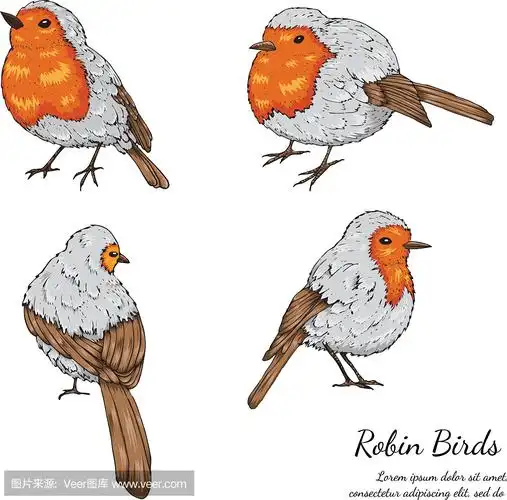 鹦鹉简笔画_鹦鹉简笔画素材_鹦鹉简笔画模板_图查查