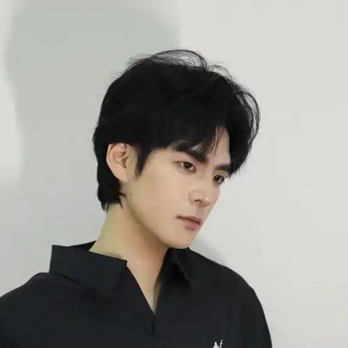 宋威龙刘海自然微分逼真黑色帅气韩版直发男短日常整顶假发