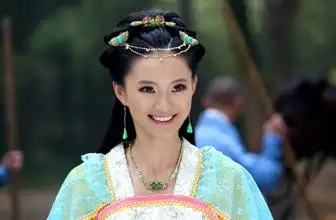 陈浩民/ho-man chan罗家英/kar-ying law许明虎/ming-hu xu馨子/zi