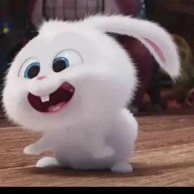 爱宠大机密兔子头像高清图爱宠小白兔头像图片