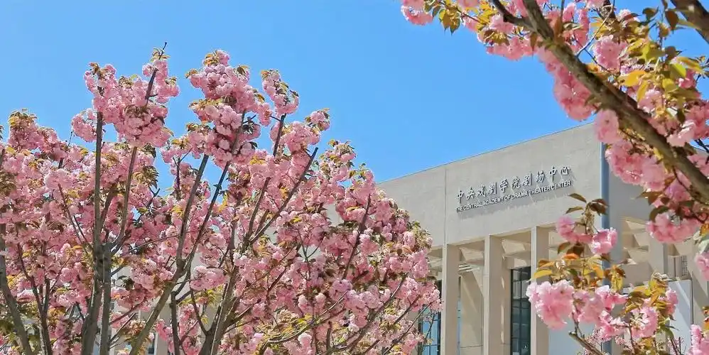 中央戏剧学院_零二七艺考