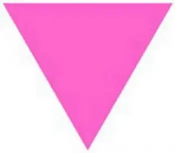 粉红三角形的介绍