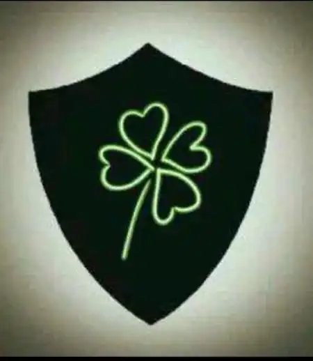 第二十四章:月之奈亚?