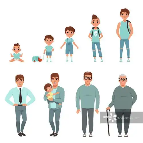 人的生命周期从婴儿开始的成长阶段