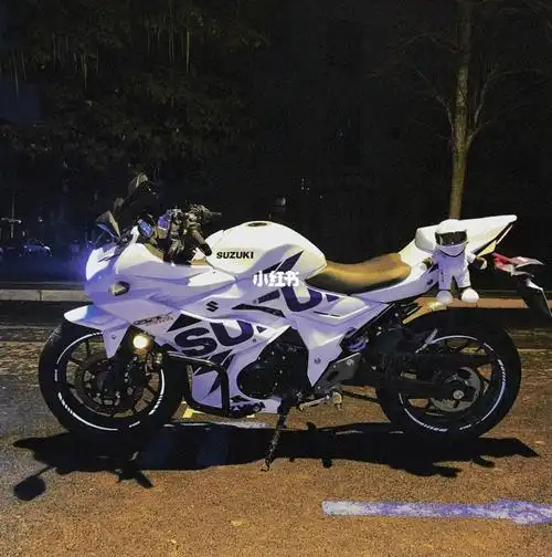 gsx250r黑武士看多了的话来看看白幽灵吧#gsx250r  #改装  #机车#玩酷