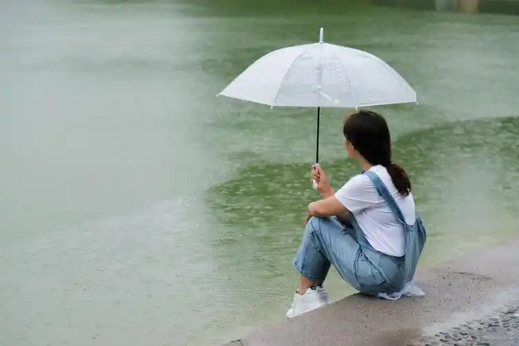 在雨中