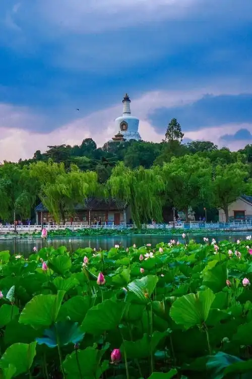 北海公园偶遇朱珠一家##北海公园