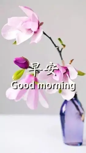 原创朋友圈漂亮早上好唯美动态表情图片,最美早晨好动图美图大全