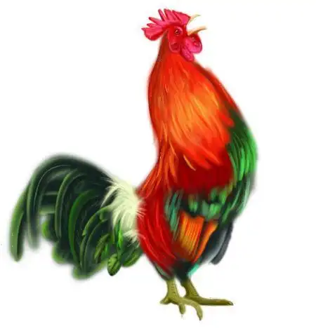 7181年12月属鸡的是什么命1981年12月属鸡的是什么命