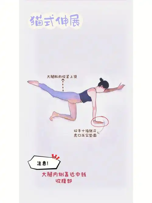 谁说宅家不能练翘臀这套教程一遍燃炸臀部