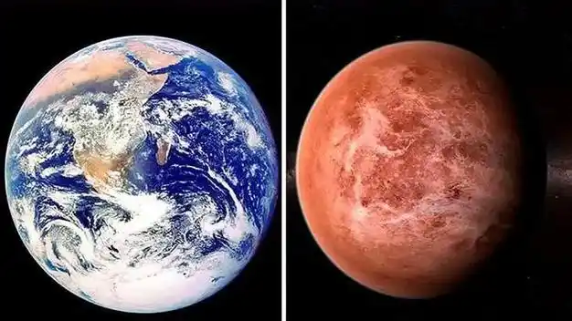 金星的惊天发现:科学家证实生命存在的跨越|行星|宇宙|太阳系|大气层