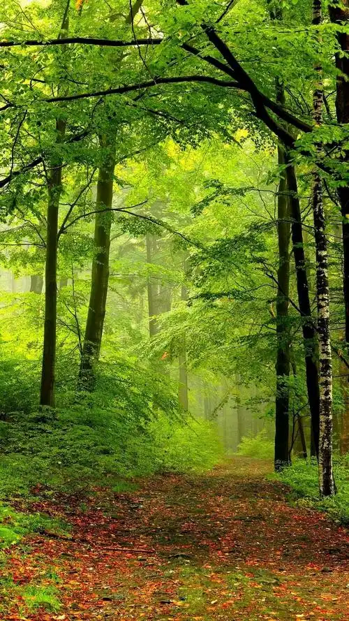 〈风景壁纸〉很有意境的一组图 山光悦鸟性,潭影空人心