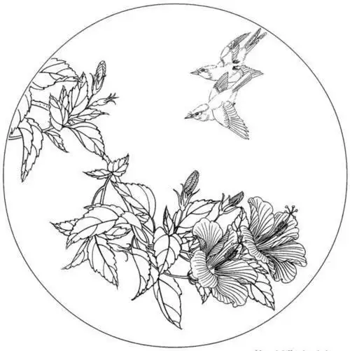 国画花鸟鸟鱼简笔画