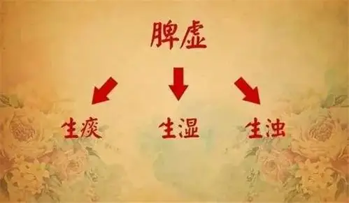 你体内的湿气,如何一步步化成脂肪?这里全说清楚了!