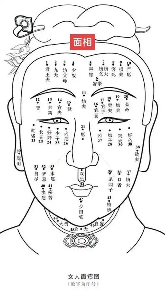 相学,即面相术.通过观察分析人的形体外貌,精神气质,举 - 抖音