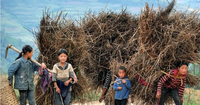 直接:农村留守儿童最真实的生活