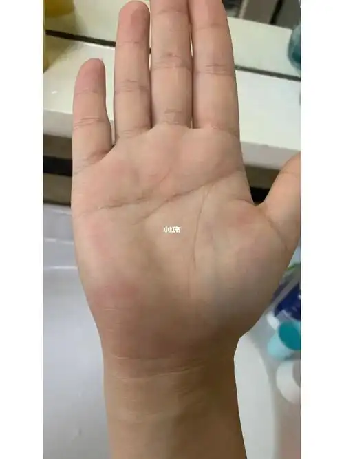 左手右手左右手