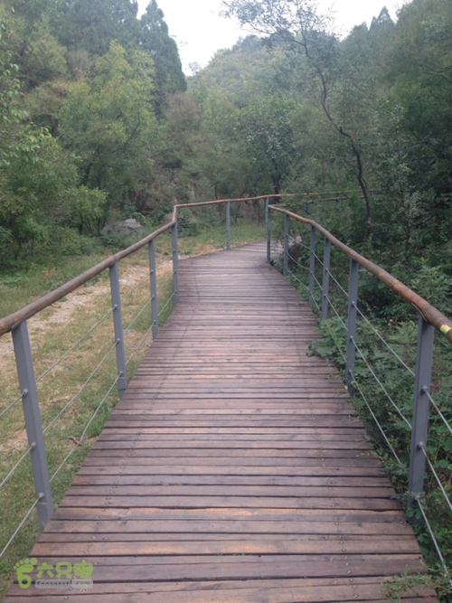 309医院-百望山森林公园栈道