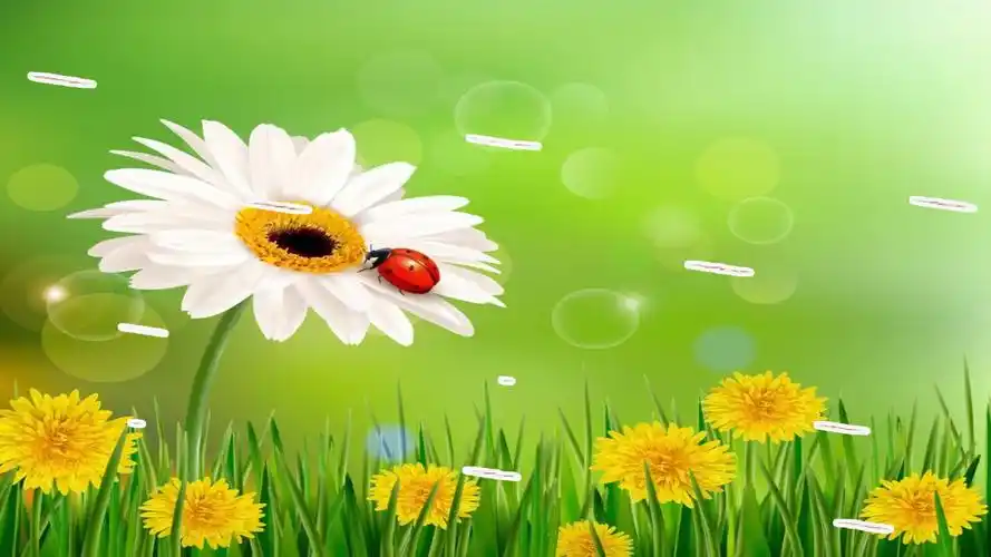 广场舞《萍聚》演唱:韩宝仪,还有多少人记得这首歌?