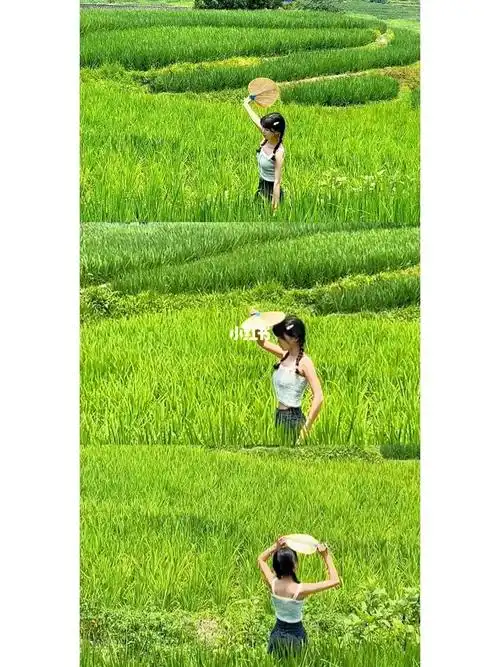 夏天的味道  #乡村田野风景  一起感受热情的夏日