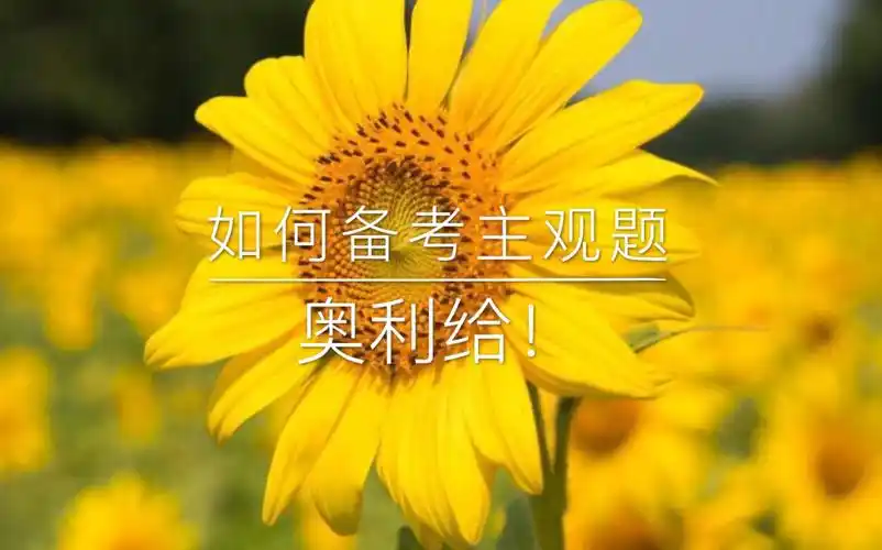 考完法考客观题如何备考主观题