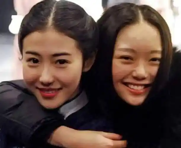 南笙_张辛苑_网友