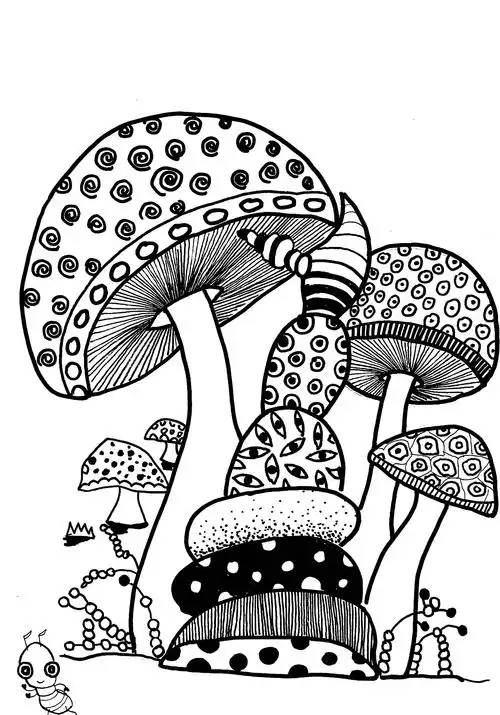 线描很幼稚超美的黑白装饰画跟着一根线条探索