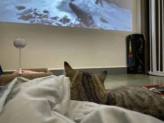 电视儿童要站高高看电视