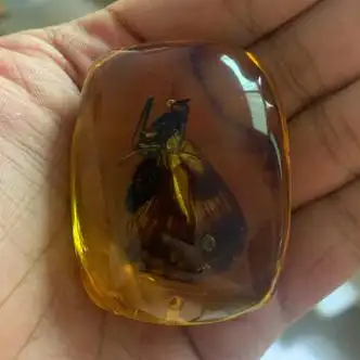 季莺真实昆虫标本人工琥珀蝎子项链蝴蝶吊坠虫珀原520送男女朋友礼物