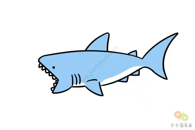 鲨鱼图片简笔画鲨鱼图片简笔画彩色