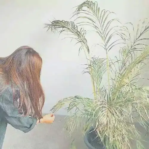 [闺蜜头像] [文艺女头] [韩系头像] [森系头像] [欧美头像] [小清新]