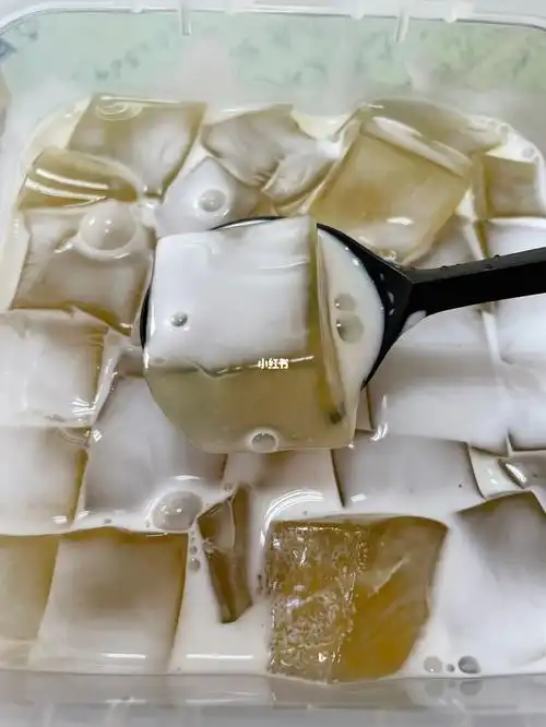 海底椰雪梨膏椰浆