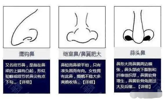 风水徐先生:详解面相学鼻子的相法要点