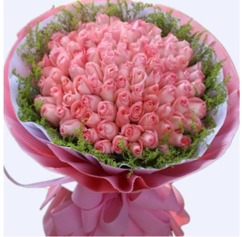 粉玫瑰:我可是个没有料的傻粉甜.