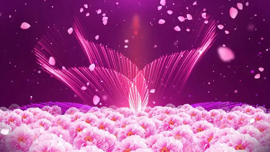 4k梦幻花海粉色飘荡唯美粉色背景mp4