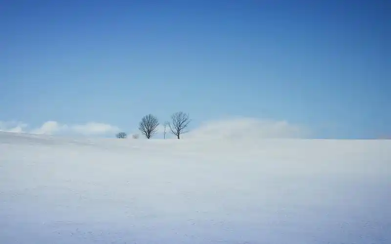 请收下这份来自北海道的旅行地图上