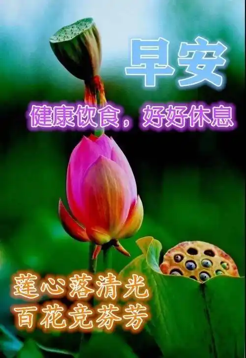 最新炎炎夏日早上好问候美图_祝福_清凉_夏天