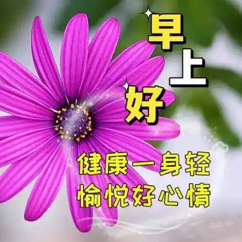 周三早安,推荐群发早上好表情包暖心图片带字8张,春日温馨的问候祝福