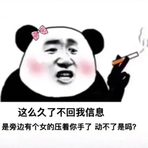 这么久了不回我信息是旁边有个女的压着你手了动不了是吗熊猫头表情包