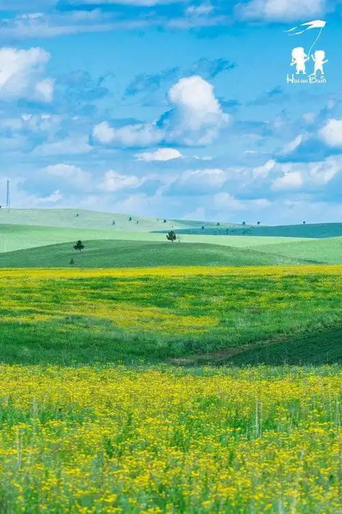 《呼伦贝尔大草原》如果风知道,如果云知道《呼伦贝尔大草原》,海拉尔