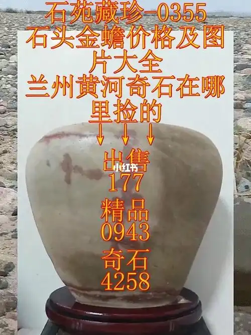 石头金蟾价格及图片,兰州黄河奇石在哪里捡