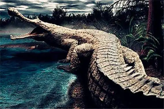 普鲁斯鳄:长十四米的鳄鱼 曾是世界上最大的鳄类动物