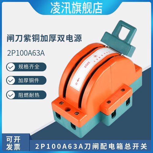 soyint闸刀紫铜加厚双电源刀开关高品质家用2p100a63a刀闸配电箱总