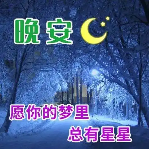 请流星闪烁我的牵挂,思念你,祝福你,请短信发送我的祝愿:祝你晚安,无