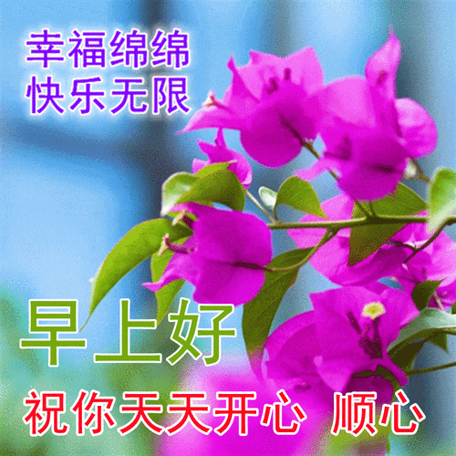 清晨早上好动态图片带字夏天早安问候祝福图片文字精选
