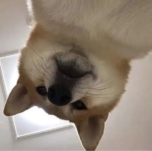 幽默搞笑个性头像挑你喜欢的170