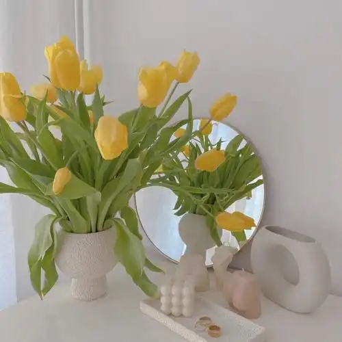 朋友圈背景图小清新