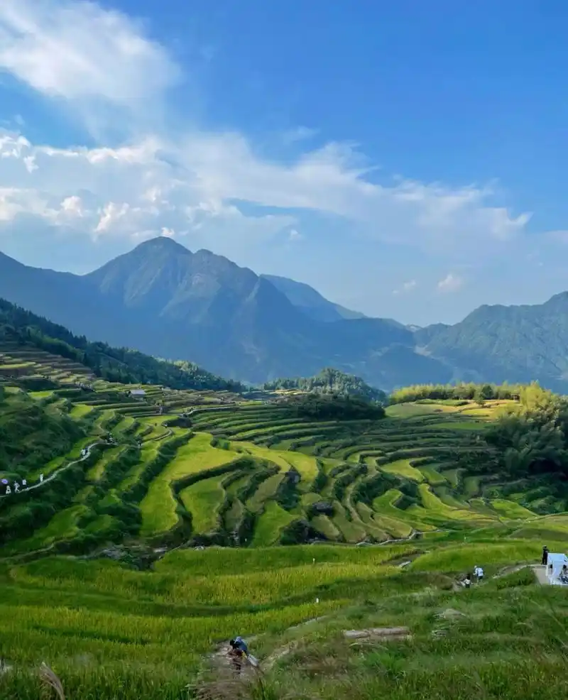 宝藏创作者计划# 浙江省丽水市云和县,拥有一个迷人的旅游胜地