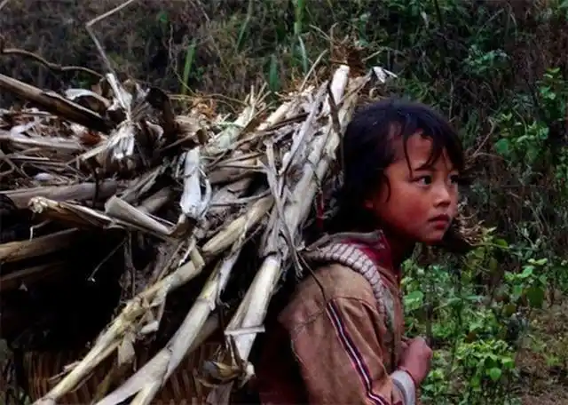 农村小孩都做过的十件事情你做过几件