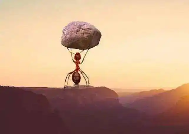 能扛事儿才是你最了不起的才华